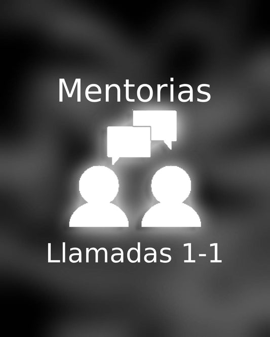 Mentorias Anuales (12 meses)